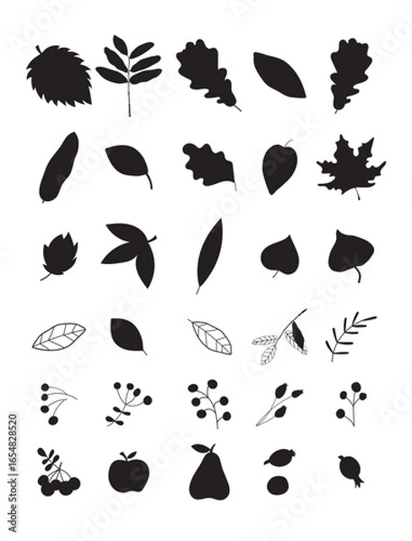 Fototapeta Autumn set of natural elements. Set of autumn branches with leaves, berries, mushrooms, nuts. Colored flat vector illustration on white background