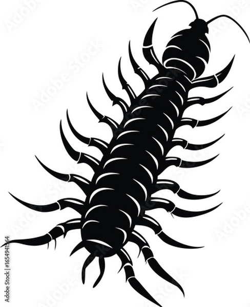 Fototapeta Silhouette of a Centipede on white background