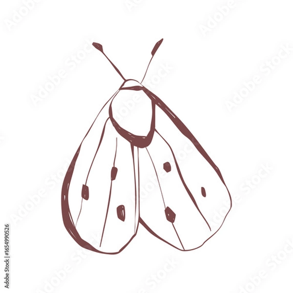 Fototapeta Boho style hand drawn moth with whimsical wings insect line art for tattoo sticker stationery poster Vector illustration