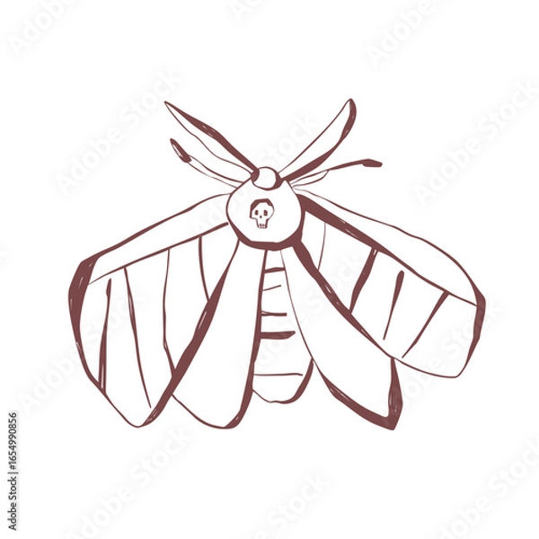 Fototapeta Mystical moth with skull detail hand drawn insect line art for tattoo design print decoration and boho aesthetic Vector illustration