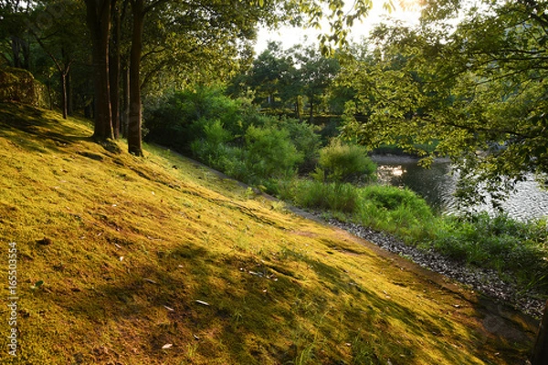 Obraz 夕刻の黄金色