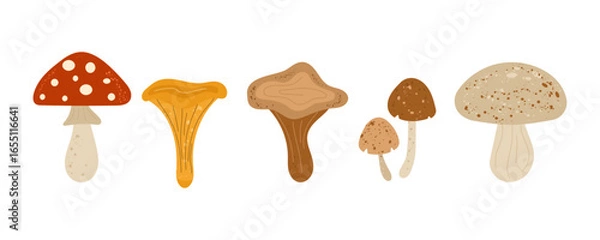 Fototapeta Mushroom clipart set with fly agaric, chanterelle, porcini, morel, and forest fungi in rustic autumn colors. Hand-drawn woodland mushroom illustration, perfect for fall design, forest harvest graphics