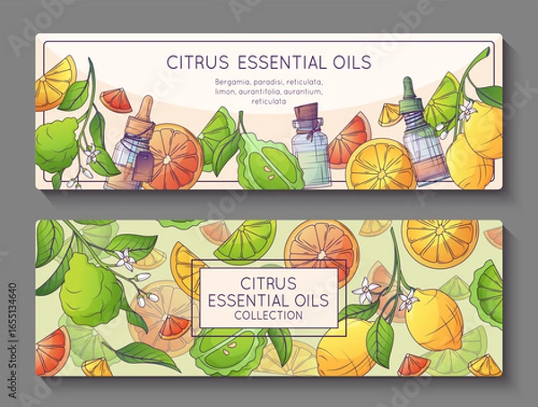 Fototapeta Horizontal banner template with illustration of citrus fruits, essential oil bottles. Vector background for promo banner, cosmetic flyer, aromatherapy. Orange, bergamot, lemon illustration.