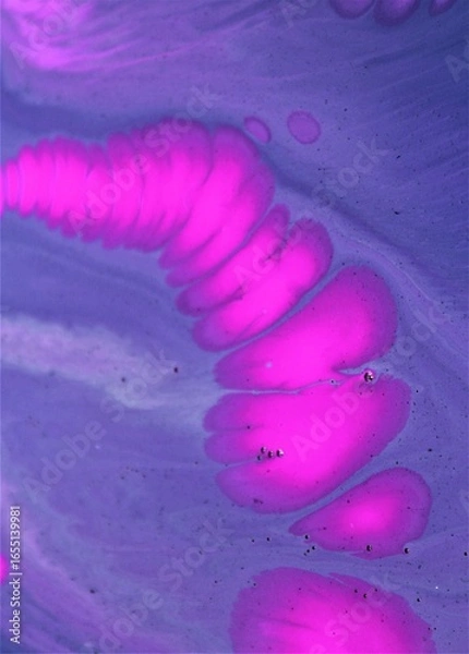 Fototapeta Abstract background with lines and colors in pink and purple tones, computer generated graphics