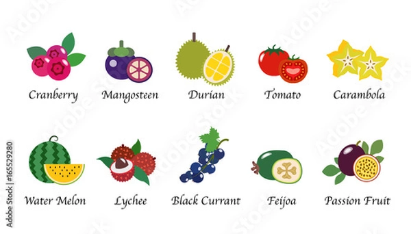 Fototapeta Organic nature health fruit isolated vector collection set