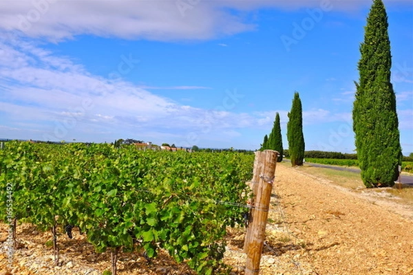 Obraz ROUTE CÖTE DU RHÖNE 2