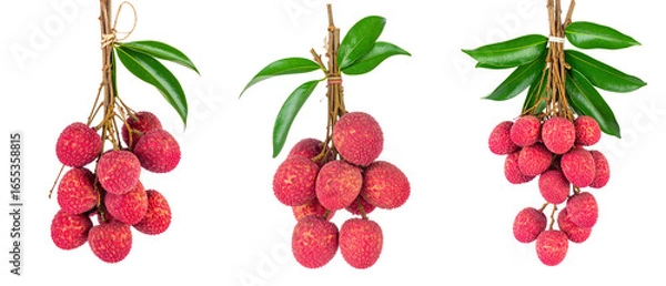 Fototapeta Three Bunches Of Lychee Fruits With Green Leaves On Transparent Background