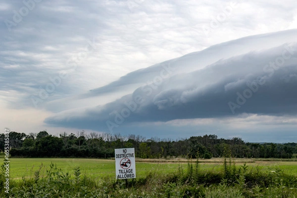 Fototapeta A shelf cloud and thunderstorm approaching a field of cover crops with a No Destructive Tillage Allowed sign.