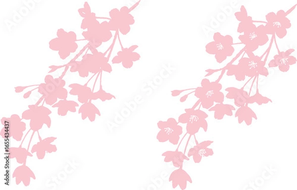 Obraz しだれ桜のシルエットイラスト