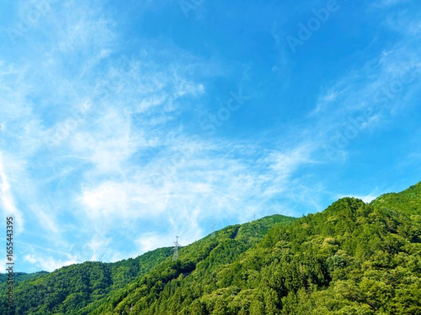 Fototapeta 緑あふれる山の木々と穏やかな空模様