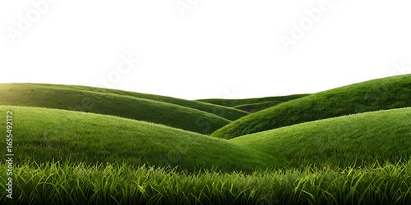 Fototapeta Cut out green grass field transparent backgrounds 3d rendering png file.