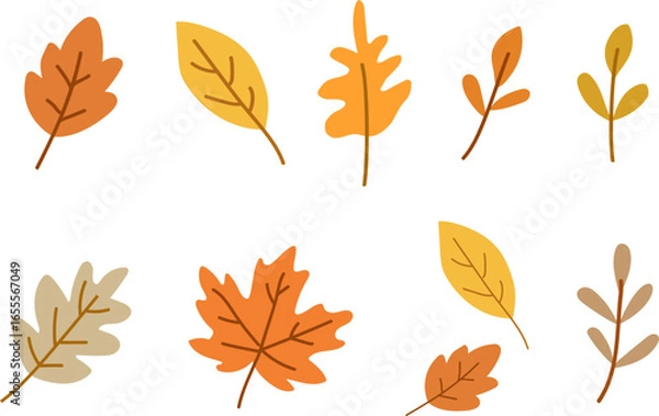 Obraz Autumn Leaves Vector Set Illustration / 가을 낙엽 세트 벡터