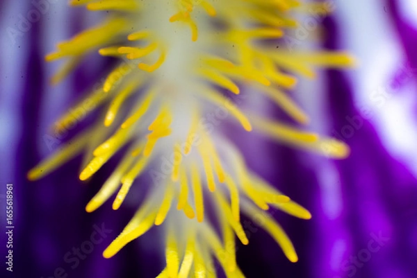 Obraz abstract colorful background