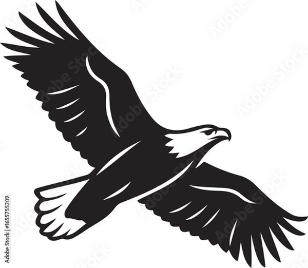 Obraz Soaring eagle silhouette bird vector art, Black eagle flying design on white background