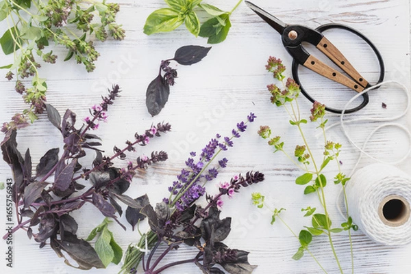 Fototapeta Fresh herbs cut from the garden for drying. Blooming oregano and basil. A cozy, delicate, and light herbal background.