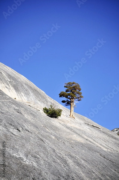 Obraz yosemite collection 19