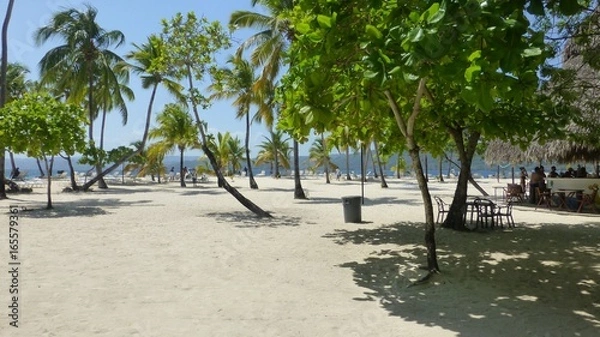 Obraz Bacardi Island