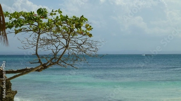 Fototapeta Carribean feeling