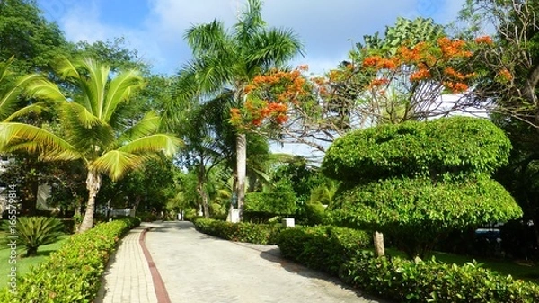 Obraz Carribean feeling