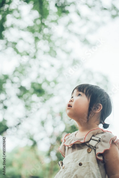 Obraz 自然の中を見上げる子ども