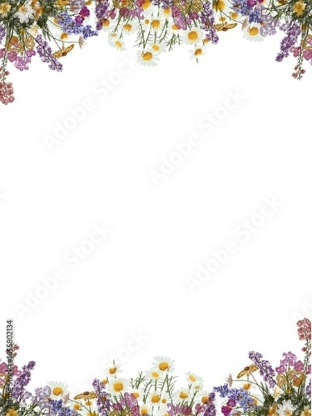 Obraz frame of colorful flowers
Vintage flowers frame