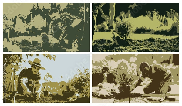 Fototapeta Gardener planting flowers in the garden, enjoying the beauty of nature and the satisfaction of growth