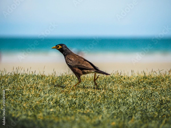 Obraz OLYMPUS DIGITAL CAMERA