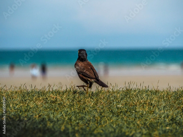 Obraz OLYMPUS DIGITAL CAMERA