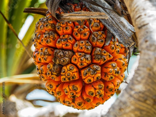 Obraz OLYMPUS DIGITAL CAMERA