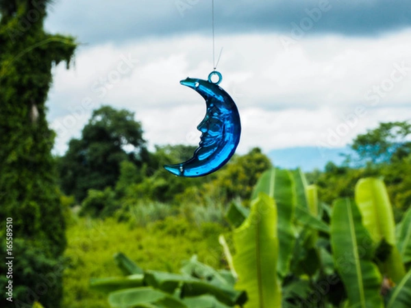 Obraz OLYMPUS DIGITAL CAMERA