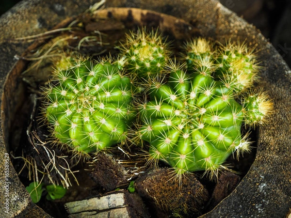 Obraz OLYMPUS DIGITAL CAMERA