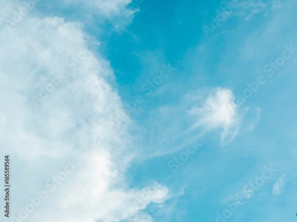 Obraz OLYMPUS DIGITAL CAMERA