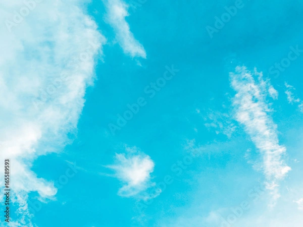 Obraz OLYMPUS DIGITAL CAMERA