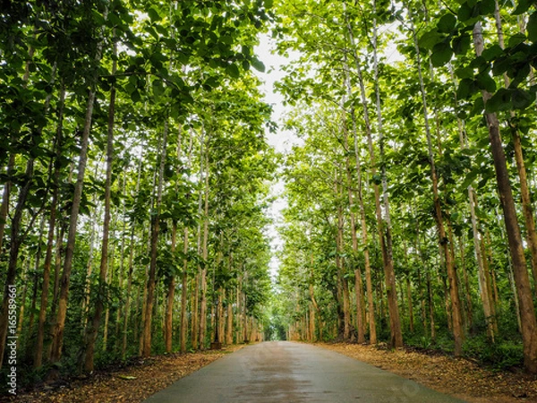 Obraz OLYMPUS DIGITAL CAMERA