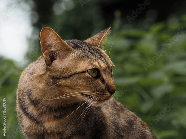 Obraz OLYMPUS DIGITAL CAMERA