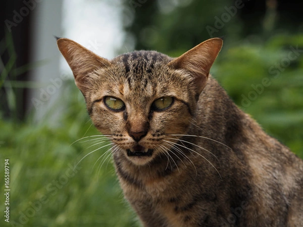 Obraz OLYMPUS DIGITAL CAMERA