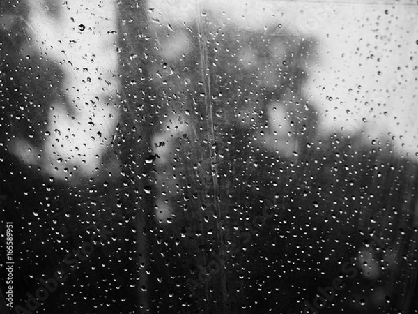 Obraz OLYMPUS DIGITAL CAMERA