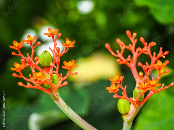 Obraz OLYMPUS DIGITAL CAMERA