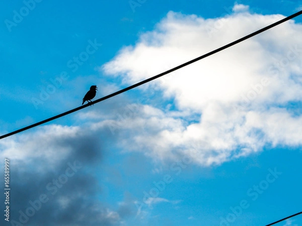 Obraz OLYMPUS DIGITAL CAMERA