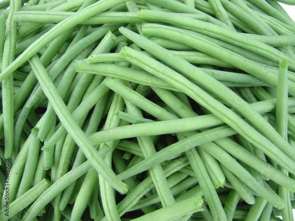 Fototapeta haricot vert