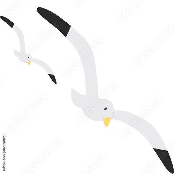 Obraz seagull flying over white background