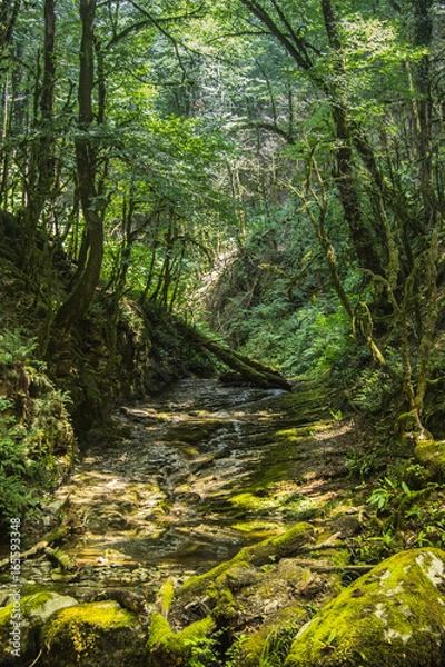 Obraz the road to Azhek