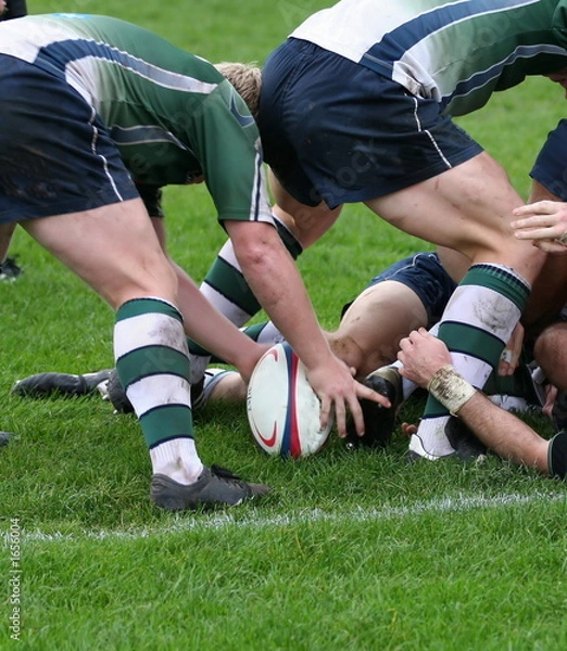 Obraz rugby