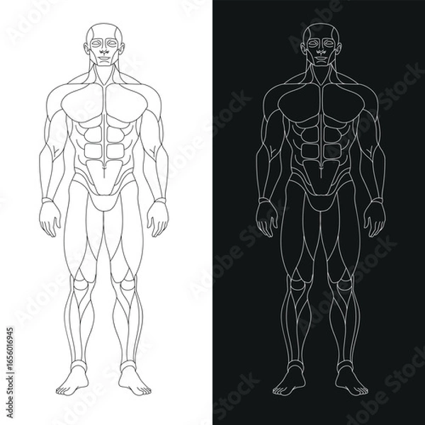 Obraz sportman_front