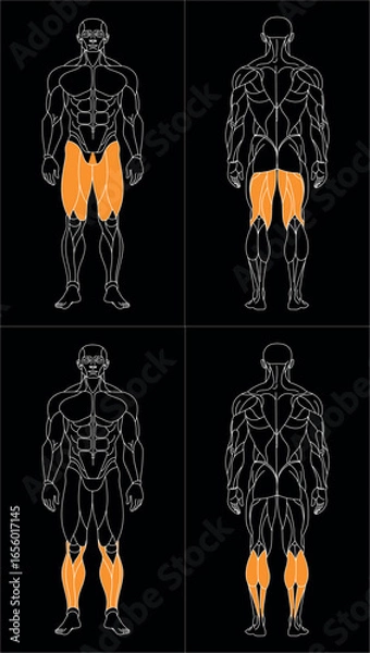 Obraz sportman_front_oben_w