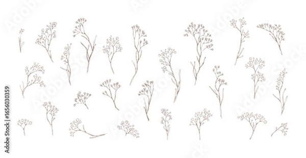 Obraz Set of limonium flowers. Hand drawn line leaves branches and blooming. Wedding elegant wildflowers for invitation save the date card. Vector trendy
