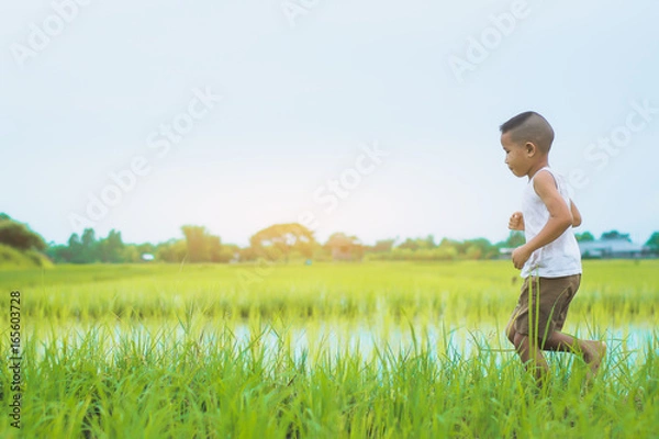 Obraz Happy Children wearing a white shirt playing in green farm field in summertime.