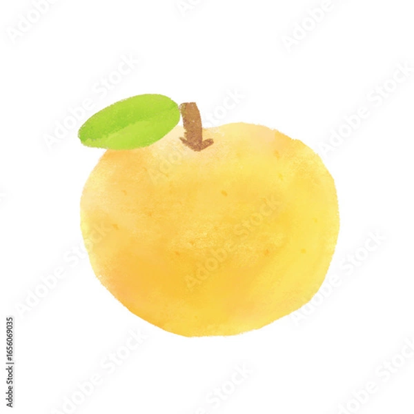 Obraz 和梨 イラスト