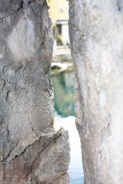 Obraz tree in the park