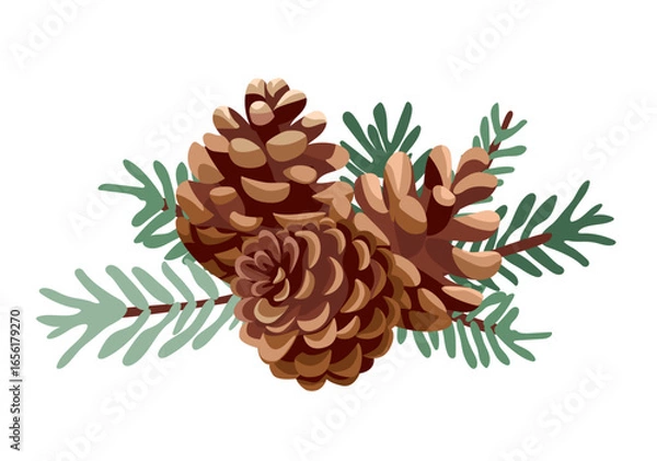 Obraz Pine cones with twigs. Vector illustration on white background.